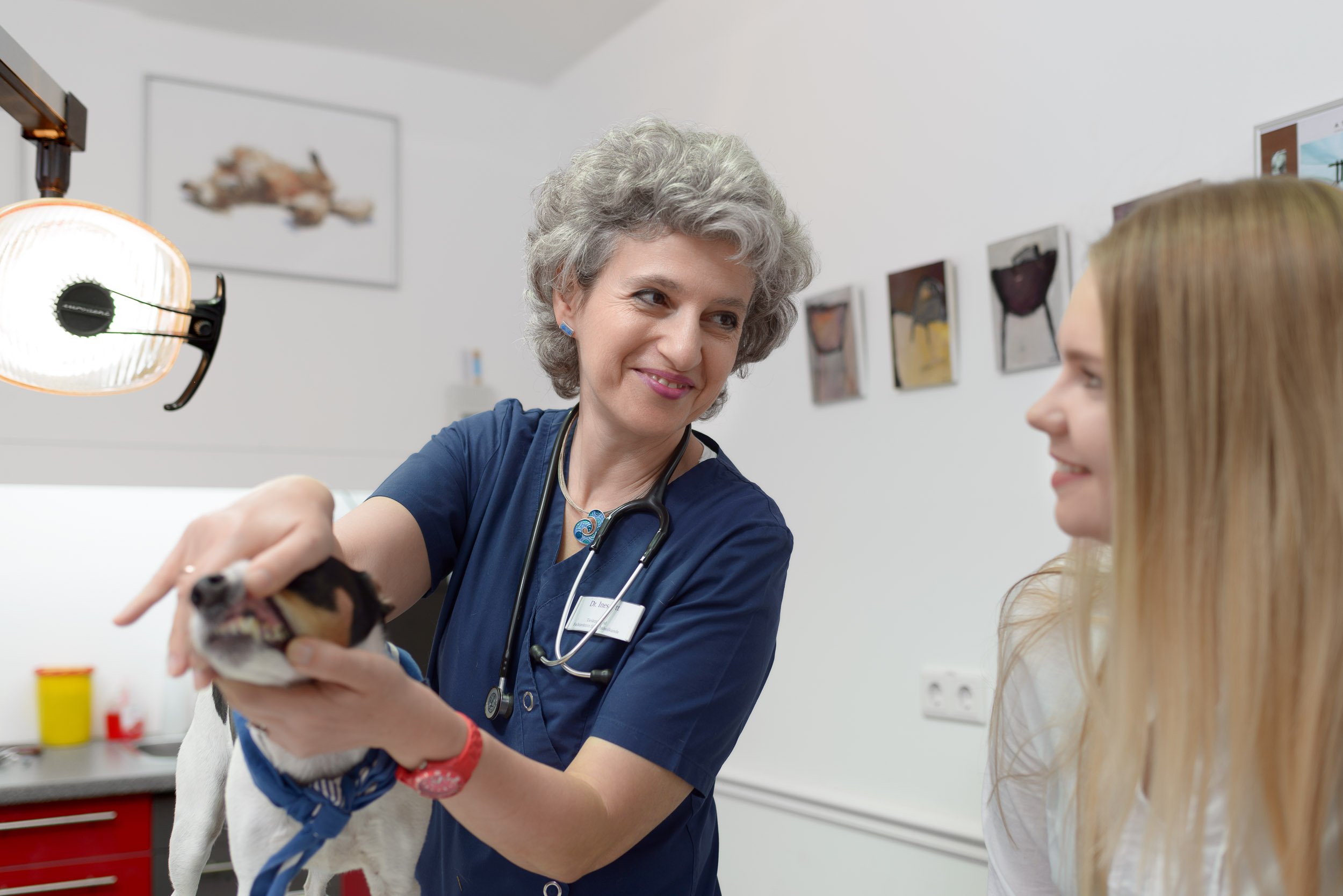 Daniel Lisbona: Tierarztpraxis Dr. Ott in Hanau fotografiert